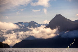 Knight Inlet Landscape
