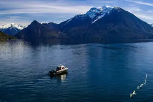 Ambient Light Tour Boat Knight Inlet